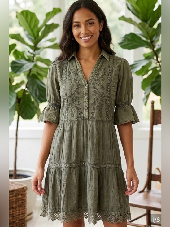 Young Threads Dresses & Skirts - Young Threads NWT Embroidered Gravel Dress with Button Placket